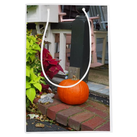 カボチャとコレウス – Martha's Vineyard ミディアムペーパーバッグ (正面)