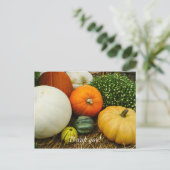 カボチャとゴールド ポストカード (スタンド正面)