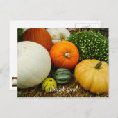 カボチャとゴールド ポストカード (正面/裏面)