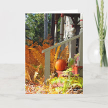 カボチャとシダ – マーサのブドウ畑