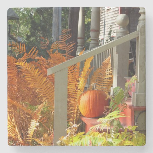 カボチャとシダ – マーサのブドウ畑 ストーンコースター (正面)