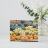 カボチャとスカッシュを農家で展示 ポストカード (スタンド正面)