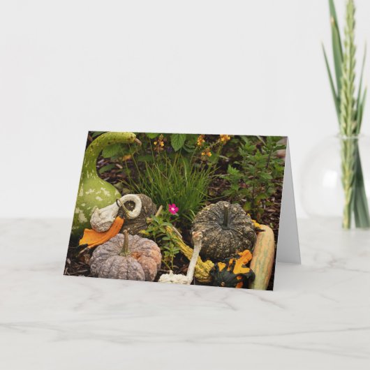 カボチャとデジタルアートカード カード (正面)