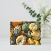 カボチャとヒョウタンの秋 ポストカード (スタンド正面)