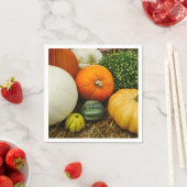 カボチャとヒョウタン スタンダードカクテルナプキン (インサイチュ)