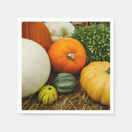 カボチャとヒョウタン スタンダードカクテルナプキン