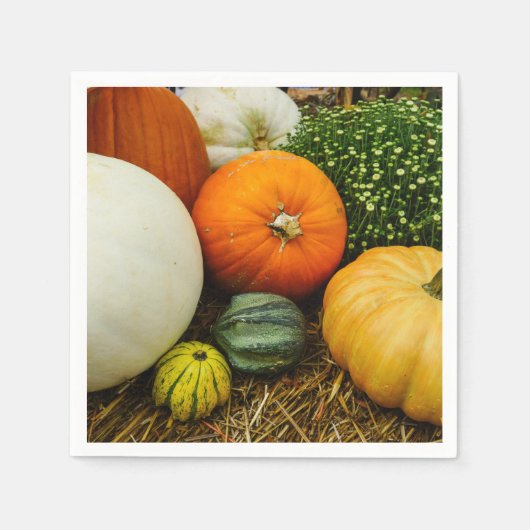 カボチャとヒョウタン スタンダードカクテルナプキン (正面)