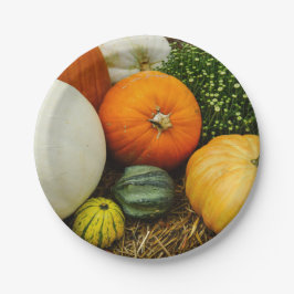 カボチャとヒョウタン ペーパープレート
