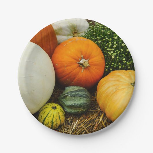 カボチャとヒョウタン ペーパープレート (正面)