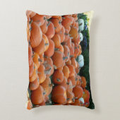 カボチャとラム秋の収穫写真 アクセントクッション (正面(垂直))