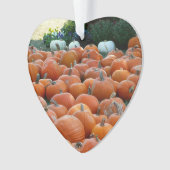 カボチャとラム秋の収穫写真 オーナメント (正面)