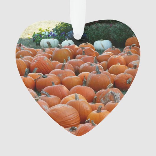 カボチャとラム秋の収穫写真 オーナメント (正面)