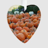 カボチャとラム秋の収穫写真 オーナメント (正面)