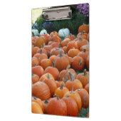 カボチャとラム秋の収穫写真 クリップボード (左)