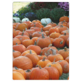 カボチャとラム秋の収穫写真 クリップボード (裏面)