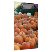 カボチャとラム秋の収穫写真 クリップボード (右)