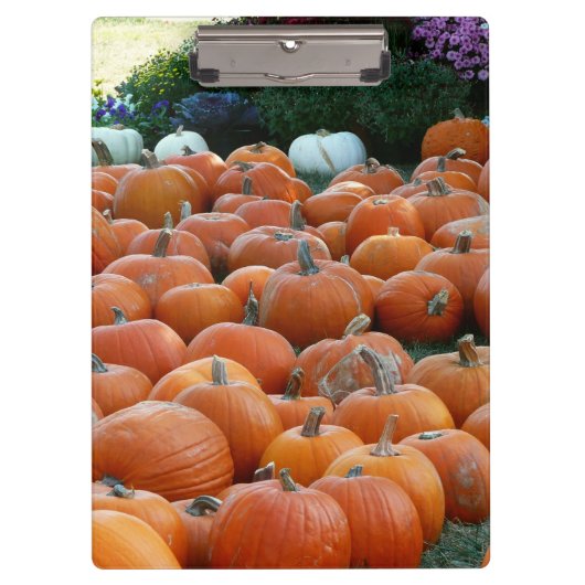 カボチャとラム秋の収穫写真 クリップボード (正面)