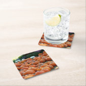 カボチャとラム秋の収穫写真 スクエアペーパーコースター (インサイチュ)