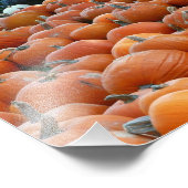 カボチャとラム秋の収穫写真 フォトプリント            (角)