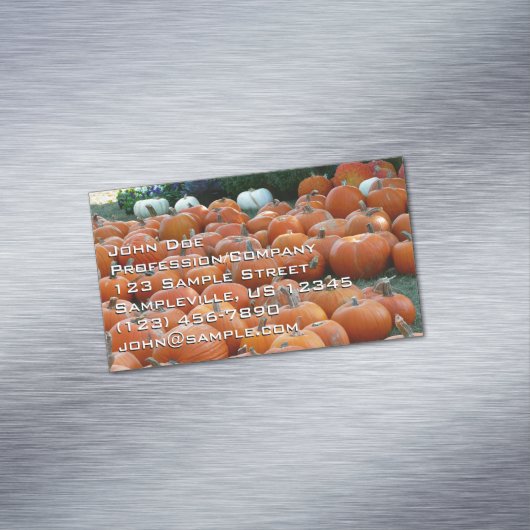カボチャとラム秋の収穫写真 マグネット名刺 (インサイチュ)