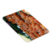 カボチャとラム秋の収穫写真 マグネット (右側)