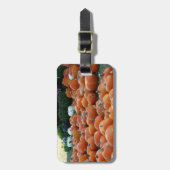 カボチャとラム秋の収穫写真 ラゲッジタグ (正面縦)