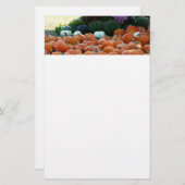 カボチャとラム秋の収穫写真 便箋 (正面/裏面)