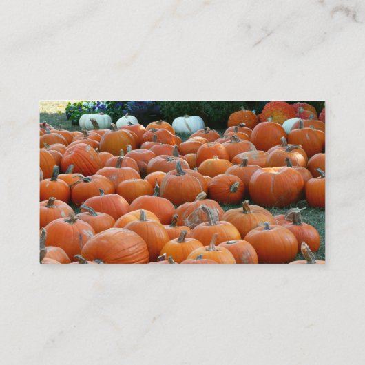 カボチャとラム秋の収穫写真 名刺 (裏面)