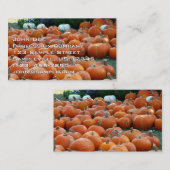 カボチャとラム秋の収穫写真 名刺 (正面/裏面)