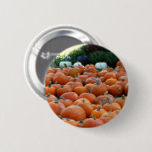 カボチャとラム秋の収穫写真 缶バッジ (正面&裏面)