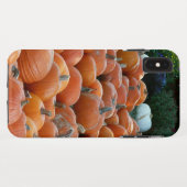 カボチャとラム秋の収穫写真 Case-Mate iPhoneケース (裏面(横))