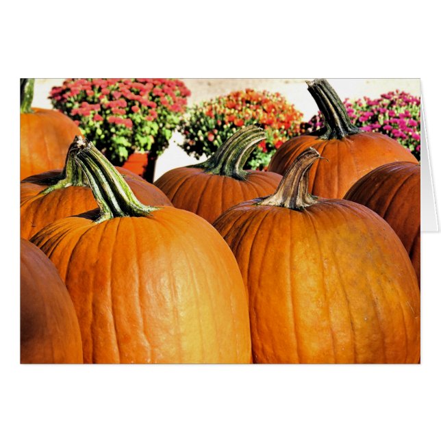 カボチャとラム (正面横)