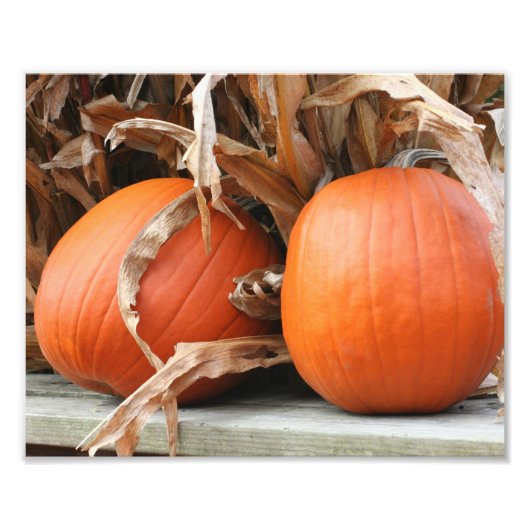カボチャと乾燥トウモロコシの茎の秋8x10 フォトプリント            (正面)