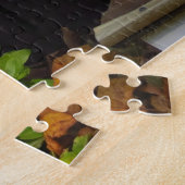 カボチャと白いマム – Martha's Vineヤード ジグソーパズル (側面)