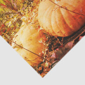 カボチャと秋植物のヴィンテージデコパージュ 薄葉紙 (詳細)