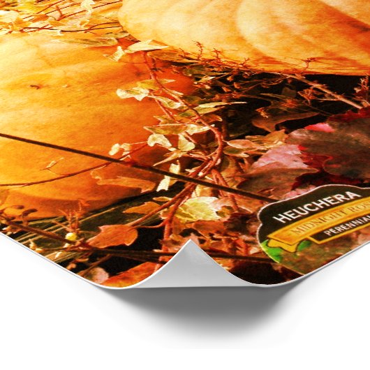 カボチャと秋植物動揺して芸術 ポスター (角)