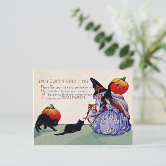 カボチャと黒猫の古い魔女ヴィンテージ ポストカード (スタンド正面)