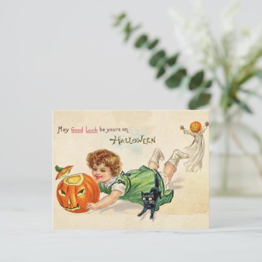 カボチャと黒猫を刻んだ小さな女の子 ポストカード (スタンド正面)
