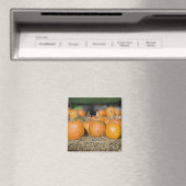 カボチャのクローズアップ マグネット (インサイチュ (食洗機))