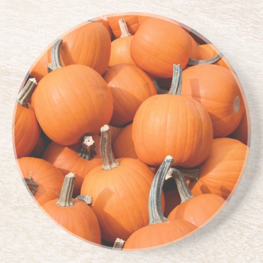 カボチャのコースター コースター (正面)