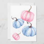 カボチャのジェンダーがピンクとブルーのテンプレートを明らかにする 招待状 (裏面)