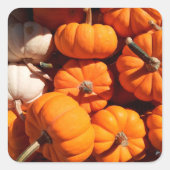 カボチャのハロウィーンハロウィーンのカボチャのちょうちんオレンジのカボチャ スクエアシール (正面)