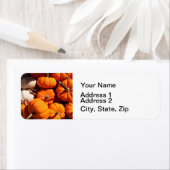 カボチャのハロウィーンハロウィーンのカボチャのちょうちんオレンジのカボチャ ラベル (インサイチュ)