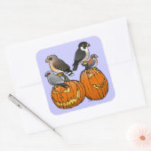 カボチャのバードラプター スクエアシール (封筒)