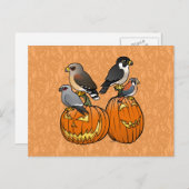 カボチャのバードラプター ポストカード (正面/裏面)