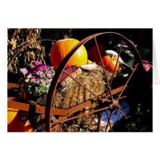 カボチャのフロスト