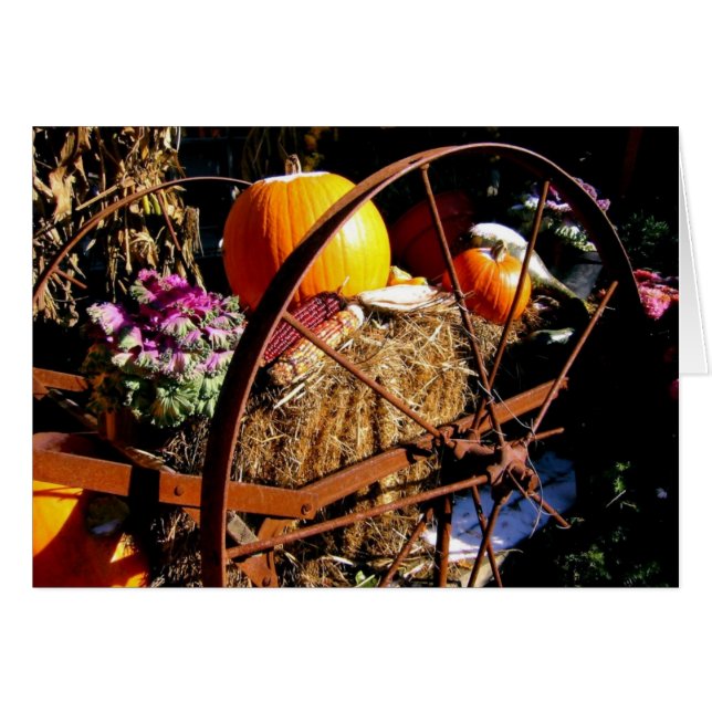 カボチャのフロスト (正面横)