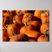 カボチャのポスター ポスター (正面)