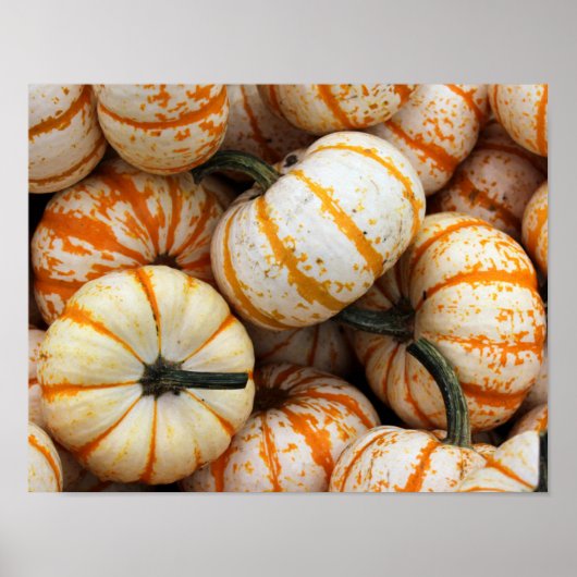 カボチャのポスター ポスター (正面)