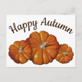 カボチャのポストカード シーズンポストカード (正面)